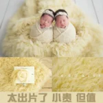 Newborn Photography Background Greece Real Photo Wool Carpets Blanket Backdrop with Bubble Wrap for Photo Shoot Accessories - Image 2
