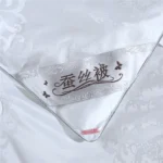 Lanlika Luxury White Nature 100% Silk Quilt Comforter Warmth Jacquard Duvet All Season Double Queen King Sleep Blanket 1Pcs - Image 5