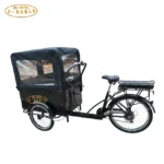 350W Electric Cargo Bike for Family Used Cargo Kids Bike - Image 6