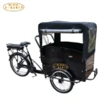 350W Electric Cargo Bike for Family Used Cargo Kids Bike - Image 3