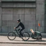 Bike Trailer for Kids and Pet 2 in 1 Bicycle Child Carrier Jogging Stroller Wagon for Outdoor Cycling Walking - Image 4