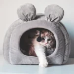 Y Pet Bed Semi-Enclosed Cat Sleeping Bag Four Seasons Universal Kennel Winter Warm Cat Supplies - Image 3