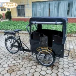 350W Electric Cargo Bike for Family Used Cargo Kids Bike - Image 5