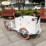 350W Electric Cargo Bike for Family Used Cargo Kids Bike