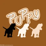 Plastic Cute Transparent Flowing ball decoration Anti-Tangle Massage Comb Kids school travel fashion Hair Brush Combs Tool - Image 4