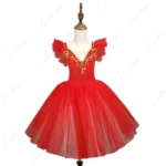 Children's Dance Costumes - Girls' Infant Figure Wear, Training Wear, Princess Dress, Ballet Dress - Image 5