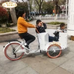 350W Electric Cargo Bike for Family Used Cargo Kids Bike - Image 2