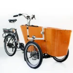 High Quality Electric Cargo Bike Twin Stroller Tricycle Cargo Bike Electric Bicycle Pet Cargo Trailer