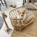 Rattan pet bedding handwoven dog sofa rattan chair cat princess bed ins small rattan bed - Image 2