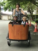 Denmark Design Three Wheel Electric Twin 3 In 1 Pram Stroller - Image 3