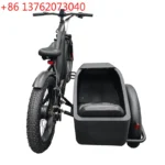 Side Car Fat Pedelec Customize 1000w E-Bicycle Sidecar Electric Bicycle Vintage E Bike 750w Retro Kid Delivery Trike